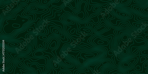 The stylize navy green wavy abstract topographic map contour, lines Pattern background. Topographic map and landscape terrain texture grid. Wavy banner and color geometric form. Vector illustration