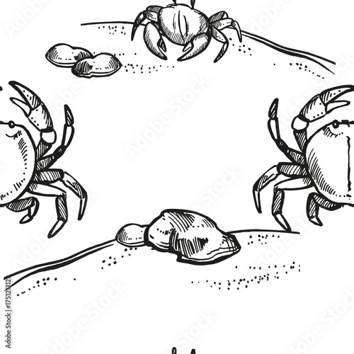 vector hand drawn two various crabs, wild life of seabed, seamless pattern of crustaceans animal under sea, ocean, black and white illustration inhabitants of aquariums, seabed and coast sand