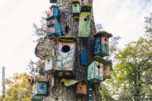 Birdhouses on a Tree in Verkiai Park in Vilnius, Lithuania
