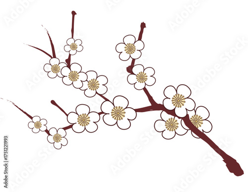 Illustration of Plum blossom. Chinese flower. Oriental design. Chinoiserie ornament.