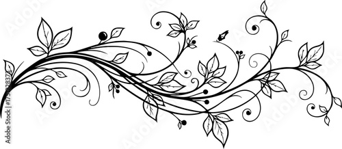 Elegant black and white botanical vine flourish with delicate leaves and swirling tendrils, perfect for decorative accents.