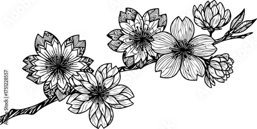 Exquisite hand drawn cherry blossom branch artfully detailed with intricate patterns evoking natural beauty and delicate elegance for botanical design projects