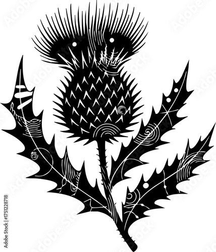 Bold linocut style thistle plant bursts with spiky detail, a striking graphic symbol of resilience and nature's raw beauty for design projects.