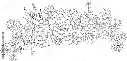 Elegant hand drawn succulent arrangement creating a delicate botanical border for modern design projects and natural themed artwork