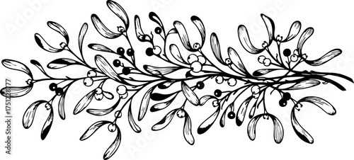 Elegant mistletoe branch with berries, perfect for festive holiday designs and seasonal celebrations, offering a touch of classic winter charm.