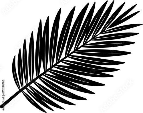 Elegant black palm frond silhouette conveys tropical vibes, natural beauty, and exotic vacation dreams for modern design projects.