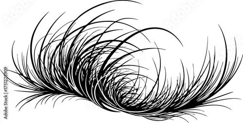 Elegant abstract swirl of fine black lines creating a dynamic organic shape, perfect for modern design and natural themes.