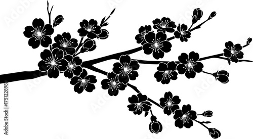 Elegant black silhouette of delicate cherry blossoms on a branch, evoking springtime beauty and natural grace for design projects.
