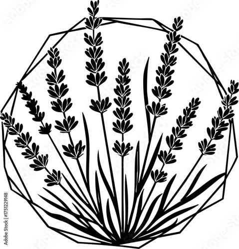 Elegant lavender sprigs within a geometric frame, perfect for branding, aromatherapy, or creating a calming aesthetic