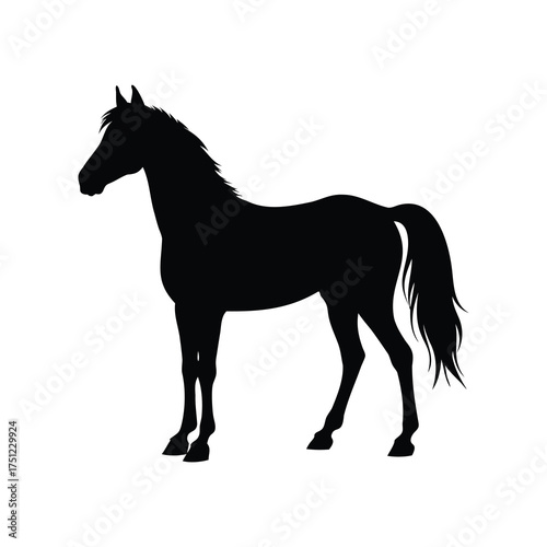Elegant horse silhouette in profile stands gracefully against a white backdrop, horse silhouette vector illustration