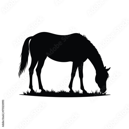 Elegant silhouette of a horse grazing peacefully in a field of grass, horse grazing silhouette vector illustration