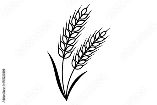 wheat isolated on white,
Line Drawing of Wheat Stalks,
Black and White Illustration Symbolizing Harvest and Natural Simplicity