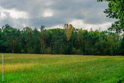 A wide panoramic view of a dense mixed forest with pine and birch trees behind a sprawling green meadow under a heavy cloudy sky in early autumn with hints of yellow in the foliage.