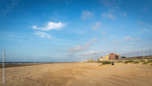 Photos lonely woman sitting behind reed grass in the slipstream on the sand dunes sways