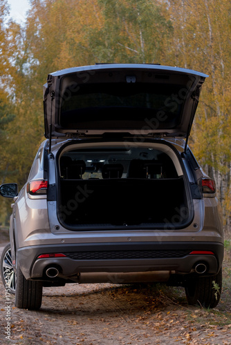Huge, clean and empty car trunk in interior of compact suv. Rear view of a SUV car with open trunk on nature