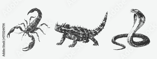 Creepy Halloween Scorpion. senek, lizard, collage element with vintage stippling photocopy effect. with experimental grunge dotted texture