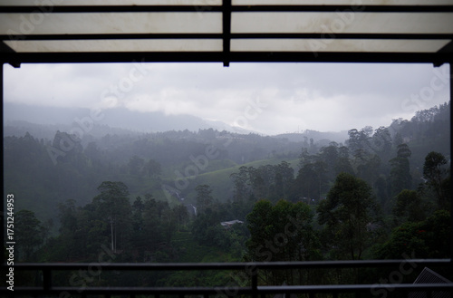 Misty hills and lush green forest landscape in Talawakelle, Sri Lanka.