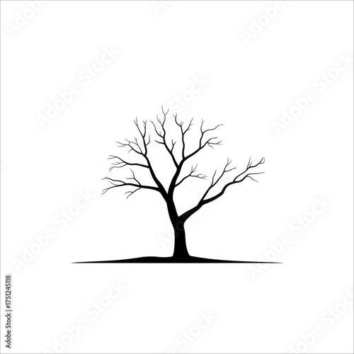 High-quality, royalty-free images and videos are found on stock photos websites for designers and businesses to license
