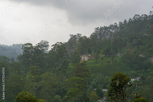 View of the tea estate from The Watefall Villas in Sri Lanka.