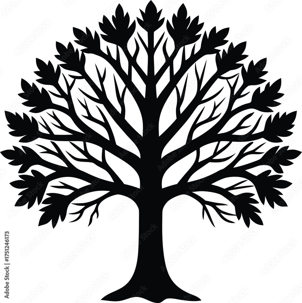Obraz premium Silhouette of symmetrical European beech trees vector illustration