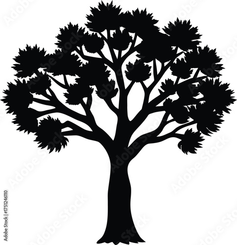 Silhouette of a resilient desert ironwood tree vector illustration