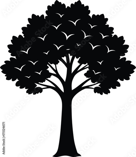 Silhouette of a tall elegant Lombardy poplar tree vector illustration