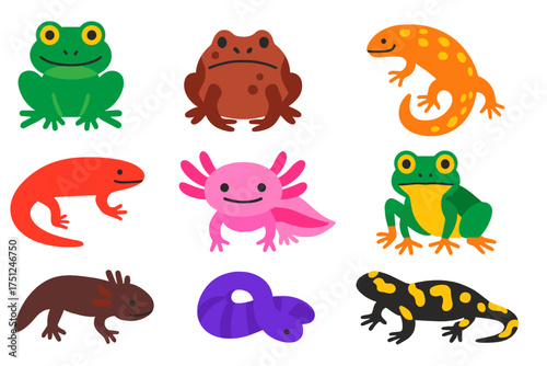 Colorful Amphibian Icons. Flat vector icons of amphibians: frog, toad, salamander, newt, axolotl, tree frog, mudpuppy, caecilian,