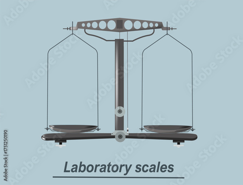 Laboratory scales