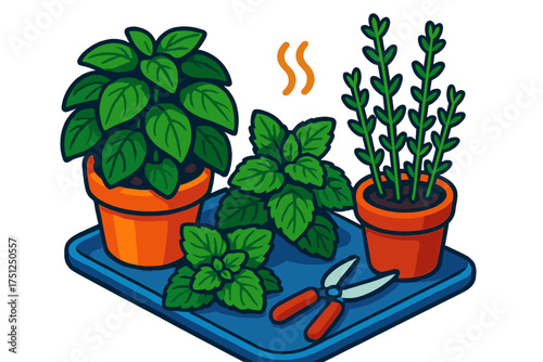 Vibrant Herb Garden. Isometric vector illustration set Garden-Fresh Herb Arrangement: full basil bush in wide pot, mint leaves