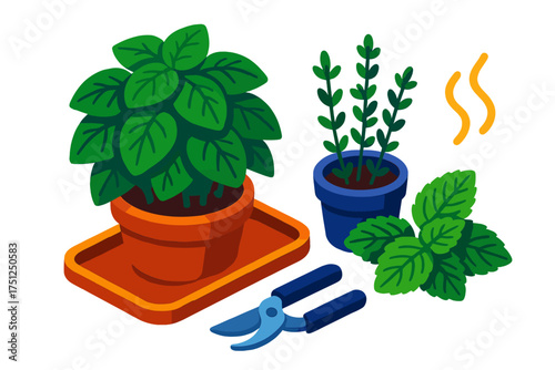 Vibrant Herb Garden. Isometric vector illustration set Garden-Fresh Herb Arrangement: full basil bush in wide pot, mint leaves