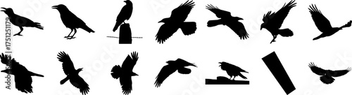 Vector art of collection of black bird silhouettes in various poses