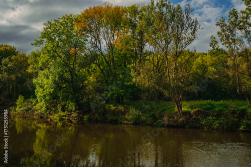 Beautiful riverside scene featuring autumn forest reflections in the dark calm water with golden sun rays illuminating the yellowing leaves and green bushes along the river bank at daytime.