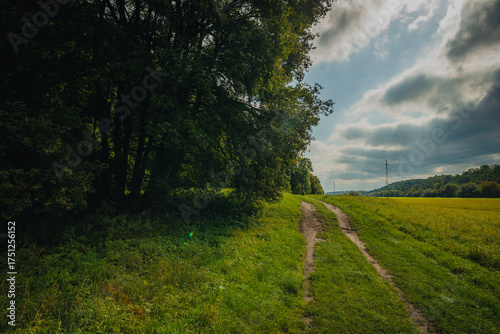 Picturesque dirt road path winding along a green meadow and a dark forest edge with high voltage power lines in the distance under a bright sky with soft white clouds and lens flare effects.