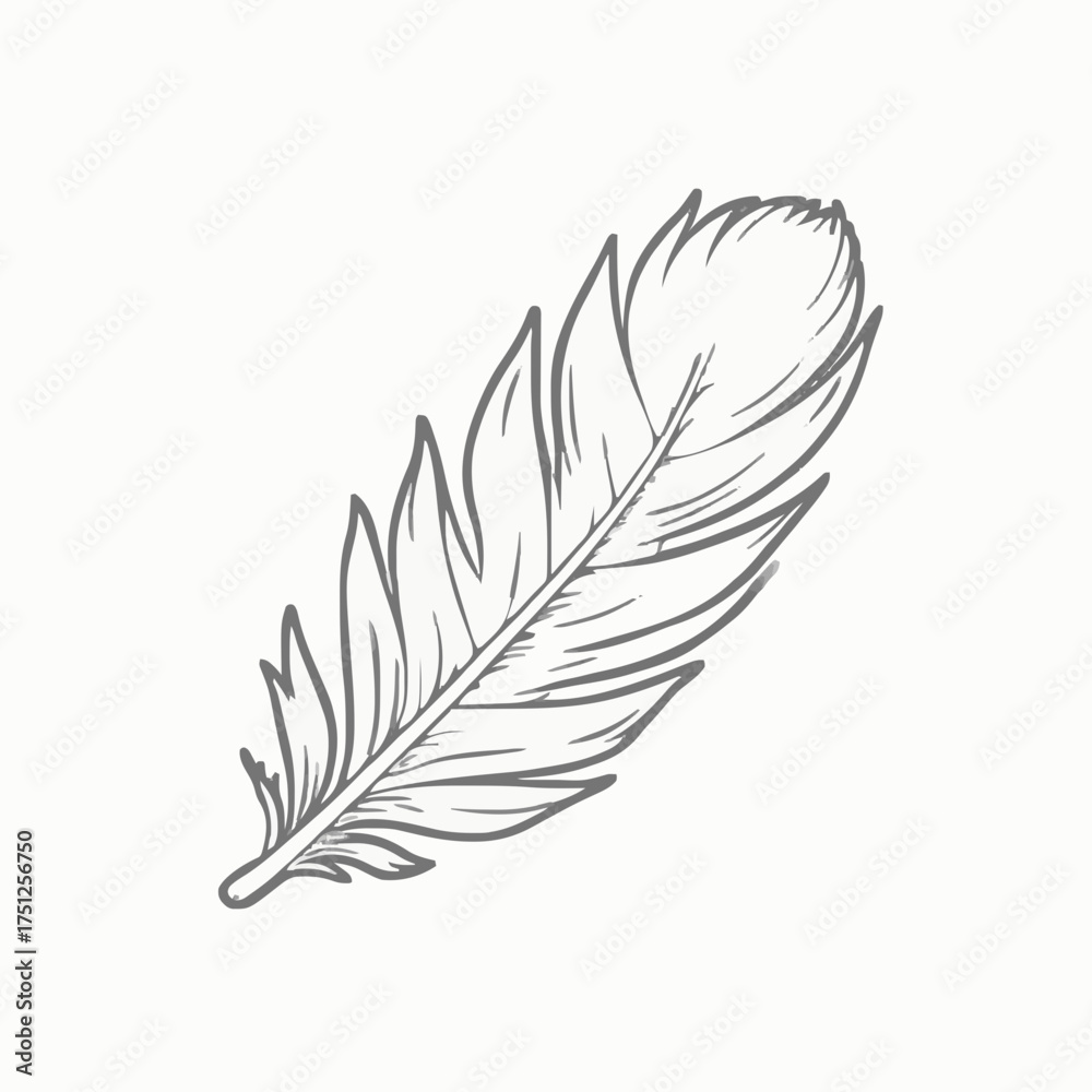Obraz premium Detailed sketch of a soft feather with a fluffy tip