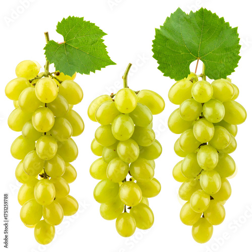 Three bunches of fresh green grapes, each with a leaf, set against a transparent background