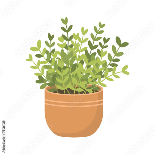 Illustration of a green potted plant in a terracotta pot