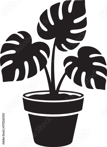 Monstera plant silhouette vector, monstera plant with large, monstera and palm plants with large tropical leaves, monstera plant in pot silhouette vector illustration