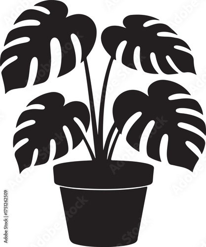 Monstera plant silhouette vector, monstera plant with large, monstera and palm plants with large tropical leaves, monstera plant in pot silhouette vector illustration