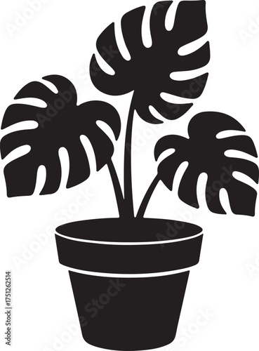 Monstera plant silhouette vector, monstera plant with large, monstera and palm plants with large tropical leaves, monstera plant in pot silhouette vector illustration