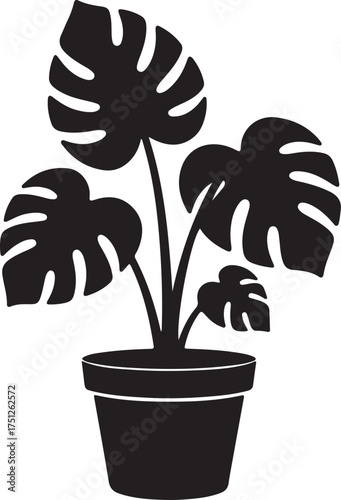 Monstera plant silhouette vector, monstera plant with large, monstera and palm plants with large tropical leaves, monstera plant in pot silhouette vector illustration