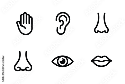 Minimalist black line icons representing human senses and body parts in vector format silhouette
