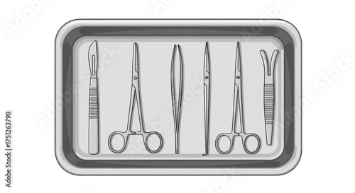 Surgical Instruments Arranged in a Sterile Stainless Steel Tray.