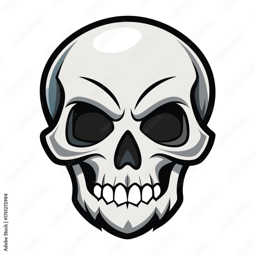 Fototapeta premium Anatomical Human Skull Drawing Vector Clipart