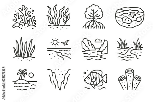 Shore reef ocean kelp forest habitat meadow icon icons vector sea beach