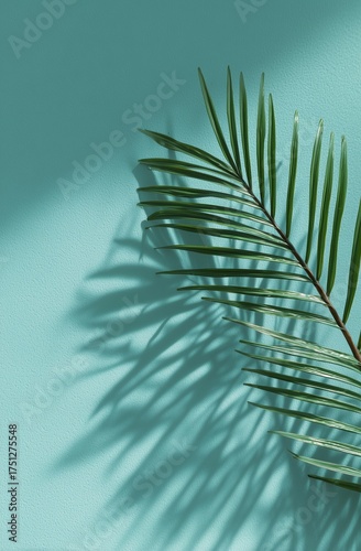 Green Palm Leaves With Distinct Shadows on a Light Blue Backdrop