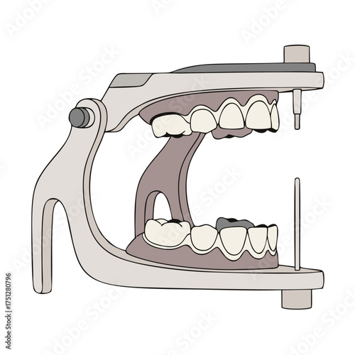 Dental Articulator with Teeth Model - Gray Metal Frame, White Teeth, Dental Tool.