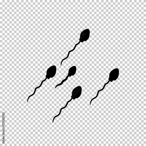 Sperm cells flat vector illustration isolated on transparent background