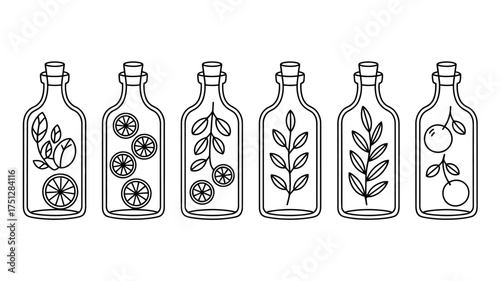 Vector art of collection of bottles with herbs and citrus fruits