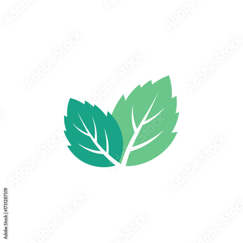 Vector art of two mint leaves for logo or icon design use