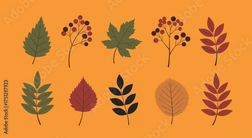 A collection of colorful autumn leaves and berries on an orange background.